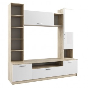 СОФИ Гостиная (модульная) дуб сонома/белый в Ишиме - ishim.mebel24.online | фото 10