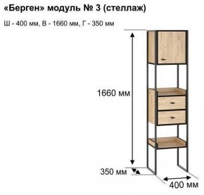 Стеллаж комбинированный Берген-3 в Ишиме - ishim.mebel24.online | фото 10