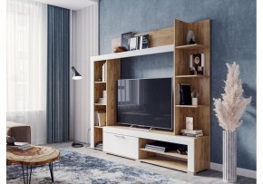 Стенка для гостиной Касэль в Ишиме - ishim.mebel24.online | фото 2