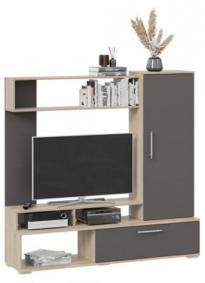 Стенка для гостиной Сиена в Ишиме - ishim.mebel24.online | фото 2