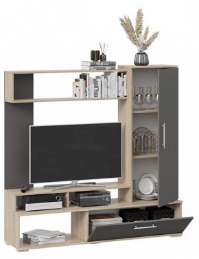 Стенка для гостиной Сиена в Ишиме - ishim.mebel24.online | фото 3