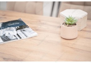 Стол обеденный Тринити Лофт 120 в Ишиме - ishim.mebel24.online | фото 6