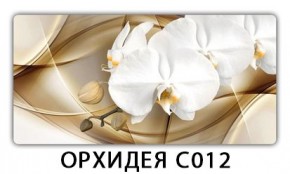 Стол раздвижной Трилогия с фотопечатью Доска D112 в Ишиме - ishim.mebel24.online | фото 13