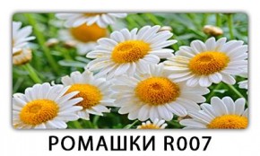 Стол раздвижной Трилогия с фотопечатью Доска D112 в Ишиме - ishim.mebel24.online | фото 15