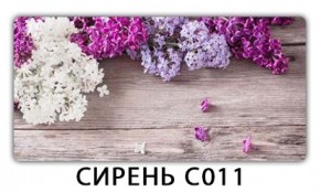 Стол раздвижной Трилогия с фотопечатью Доска D112 в Ишиме - ishim.mebel24.online | фото 16