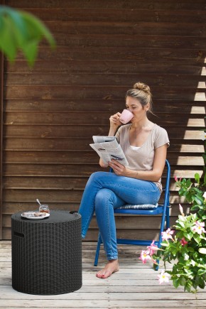 Столик-холодильник Кул-Стул (Cool stool) коричневый в Ишиме - ishim.mebel24.online | фото 2
