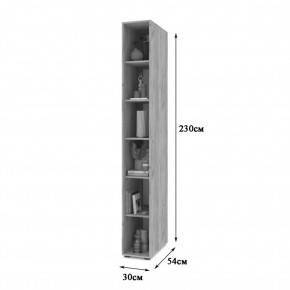 СТОУН С10 Пенал-стеллаж (дуб золотой) в Ишиме - ishim.mebel24.online | фото 2