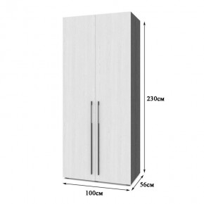 СТОУН С22 Шкаф 2-х створчатый с ящиками (камень темный/ирландский дуб) в Ишиме - ishim.mebel24.online | фото 2