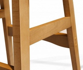 Стул обеденный SHT-ST29/S65-1 в Ишиме - ishim.mebel24.online | фото 5