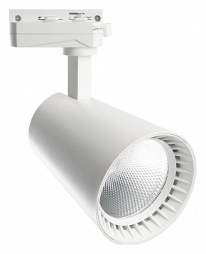 Светильник на штанге Feron AL100 41607 в Ишиме - ishim.mebel24.online | фото 2
