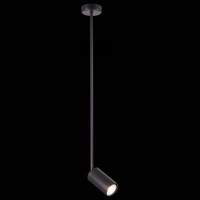 Светильник на штанге ST-Luce Sormano SL1206.403.01 в Ишиме - ishim.mebel24.online | фото 3