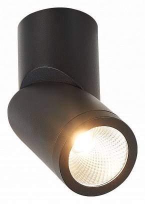Светильник на штанге ST-Luce ST650 ST650.442.10 в Ишиме - ishim.mebel24.online | фото 2