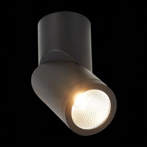 Светильник на штанге ST-Luce ST650 ST650.442.10 в Ишиме - ishim.mebel24.online | фото 5
