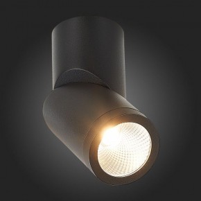 Светильник на штанге ST-Luce ST650 ST650.442.10 в Ишиме - ishim.mebel24.online | фото 6