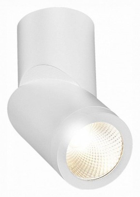 Светильник на штанге ST-Luce ST650 ST650.532.10 в Ишиме - ishim.mebel24.online | фото 3