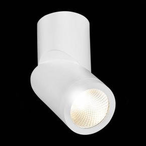 Светильник на штанге ST-Luce ST650 ST650.532.10 в Ишиме - ishim.mebel24.online | фото 5