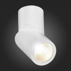 Светильник на штанге ST-Luce ST650 ST650.532.10 в Ишиме - ishim.mebel24.online | фото 6