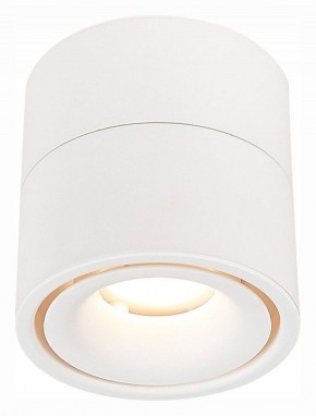 Светильник на штанге ST-Luce ST652 ST652.532.12 в Ишиме - ishim.mebel24.online | фото 2