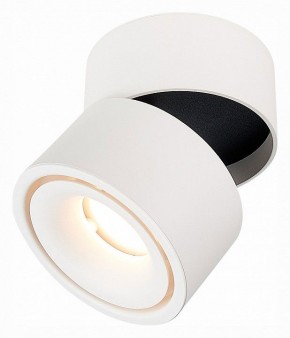 Светильник на штанге ST-Luce ST652 ST652.532.12 в Ишиме - ishim.mebel24.online | фото 3