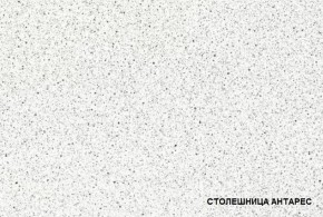 ТЕХНО-5 Кухонный гарнитур угловой 3,2*2,24 м в Ишиме - ishim.mebel24.online | фото 3