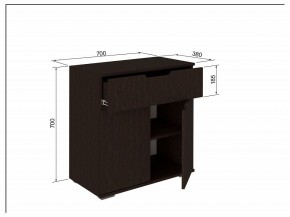 Тумба 2Я-03 в Ишиме - ishim.mebel24.online | фото 3