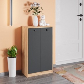 Тумба для обуви Рино в Ишиме - ishim.mebel24.online | фото 3