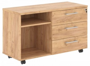 Тумба комбинированная Torr-Z TLC-3D.1A в Ишиме - ishim.mebel24.online | фото