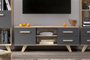Тумба под ТВ Вега Скандинавия в Ишиме - ishim.mebel24.online | фото 4