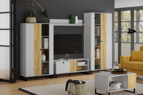 Тумба ТВА НМ 014.45 "Бруно" в Ишиме - ishim.mebel24.online | фото 3