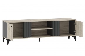 Тумба ТВА НМ 040.28 "Отис" в Ишиме - ishim.mebel24.online | фото 2