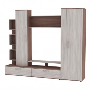 ТВ стенка TV55 (штанга) в Ишиме - ishim.mebel24.online | фото 12