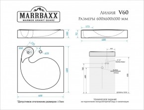 Умывальник над стиральной машиной (600*600х100) Лилия V60 (белый) с кронштейном без сифона (V60) в Ишиме - ishim.mebel24.online | фото 2