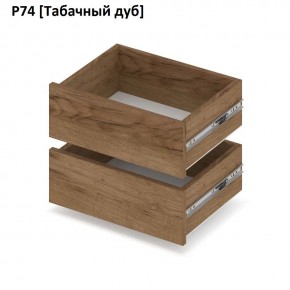 РОЛАНД Выдвижные ящики  Р76 в Ишиме - ishim.mebel24.online | фото 10